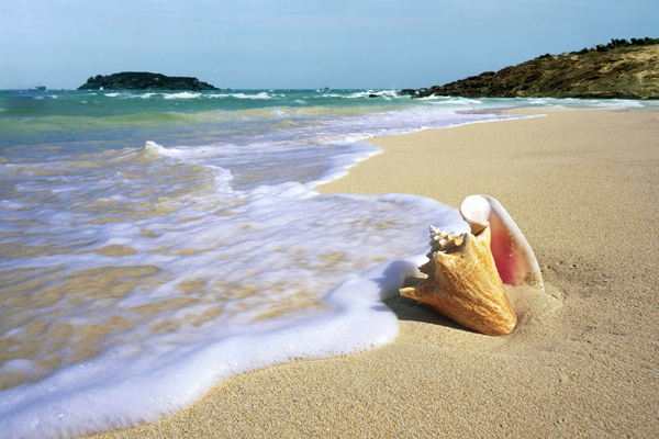 Cẩm nang du lịch Mũi Né